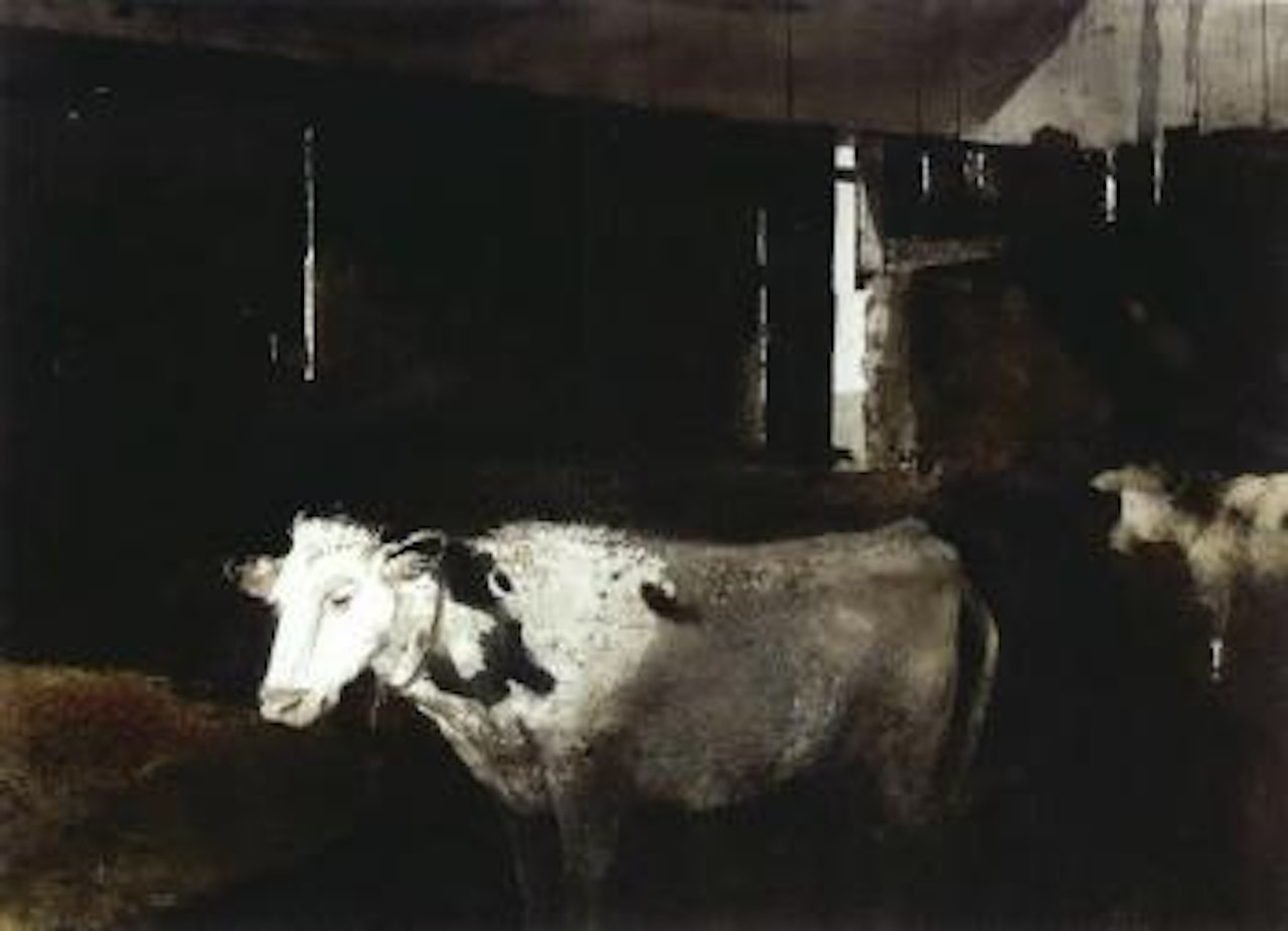 Cow shed in winter by Andrew Wyeth