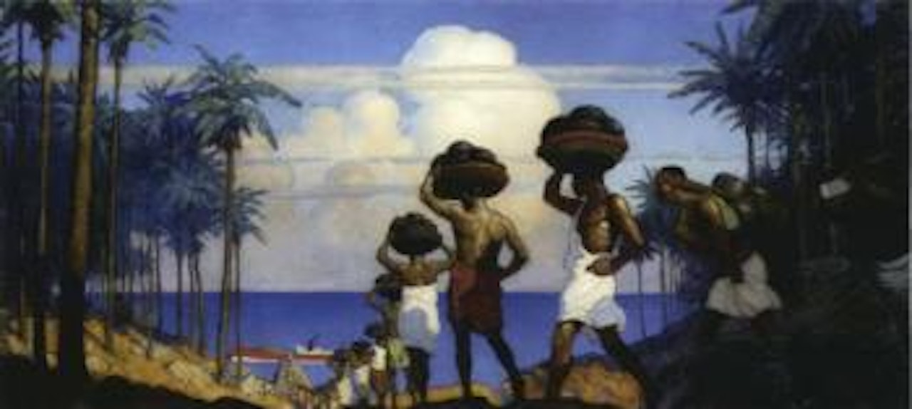 Rubber from the jungle to the world by Newell Convers Wyeth