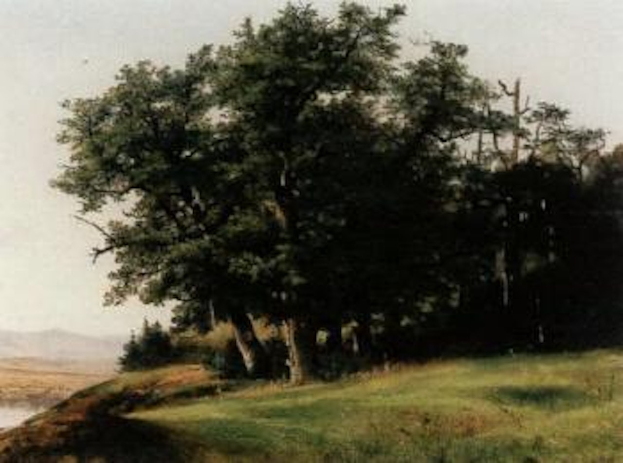 Wooded area overlooking lake by Alexandre Calame