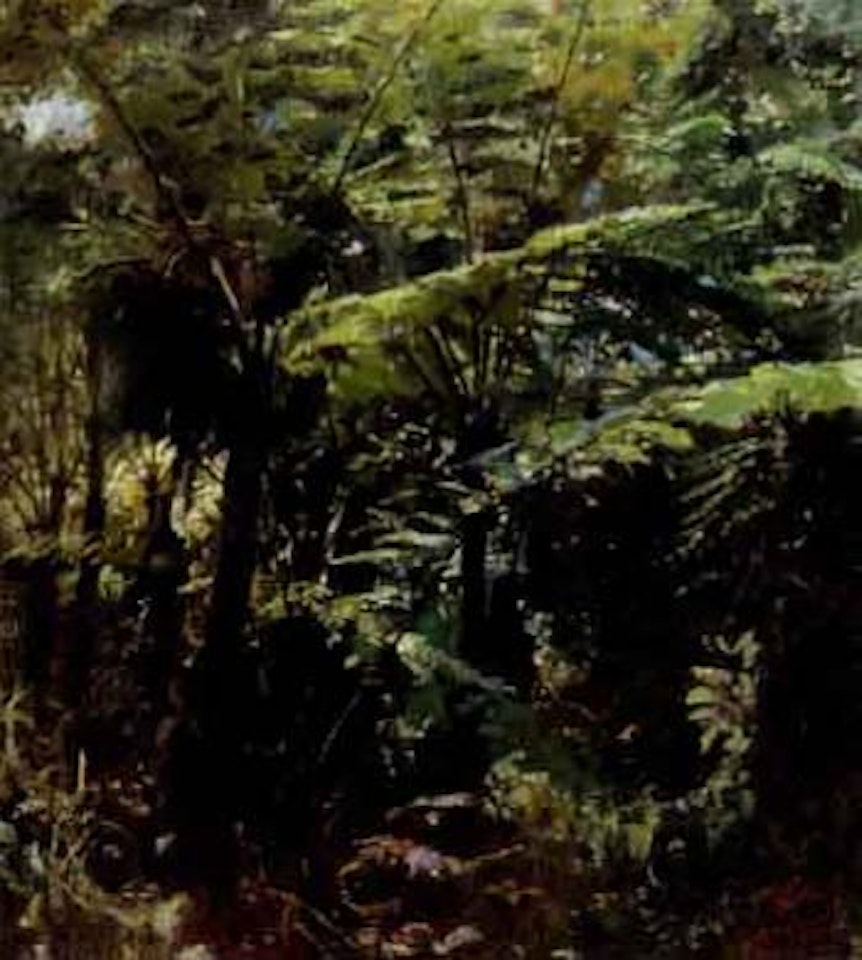 Fougeres geantes by Jacques Majorelle