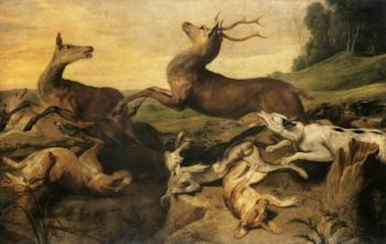 Dogs hunting deer in landscape by Frans Snyders