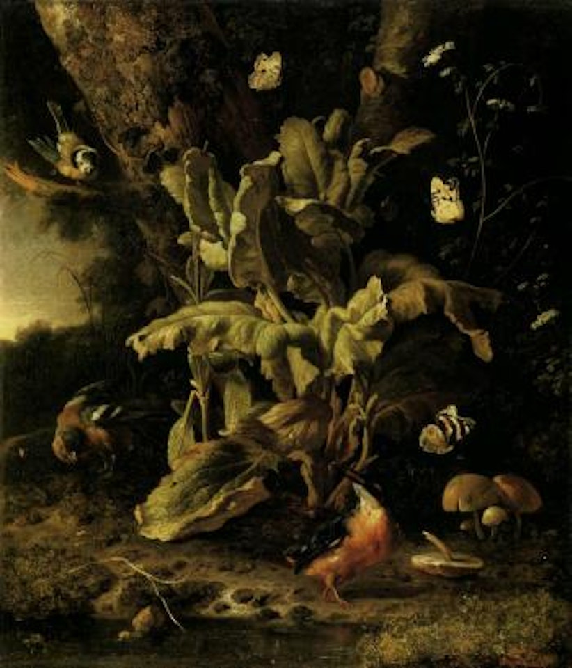 Forest floor still life with birds by Melchior de Hondecoeter