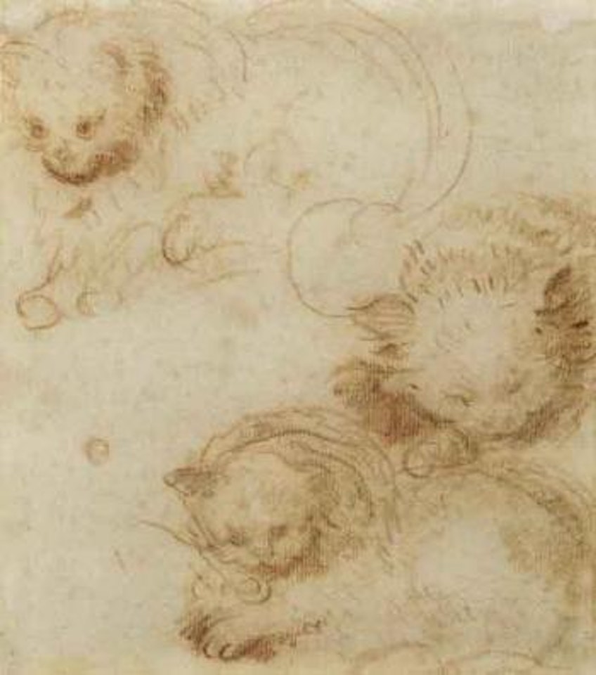 Trois etudes des chats by Jean-Honoré Fragonard
