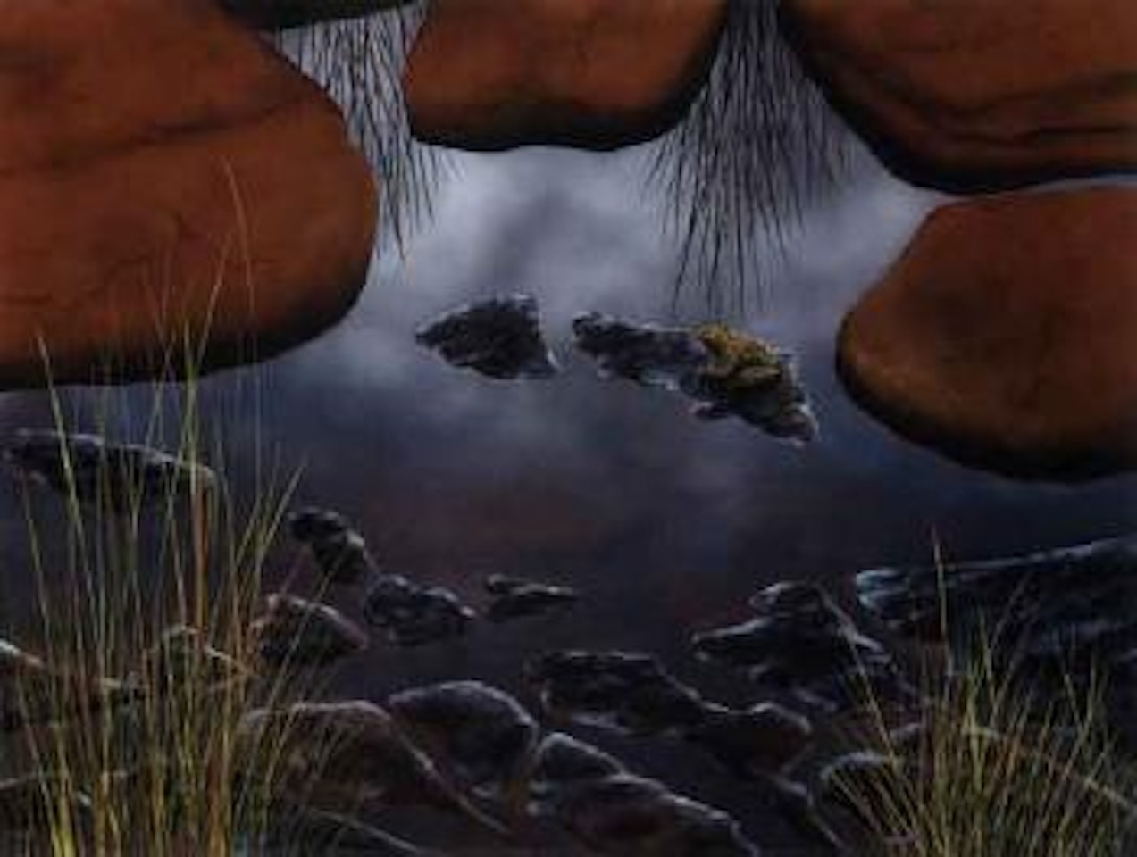Frog at Bullita crossing by Lin Onus
