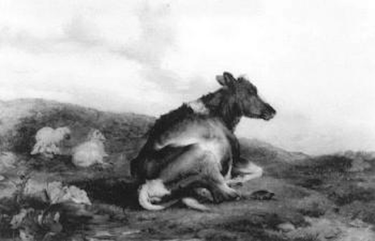 Cow in repose and sheep in a landscape by Thomas Sidney Cooper