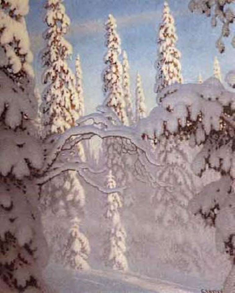 Norwegian spruce in sunshine by Gustaf Fjaestad