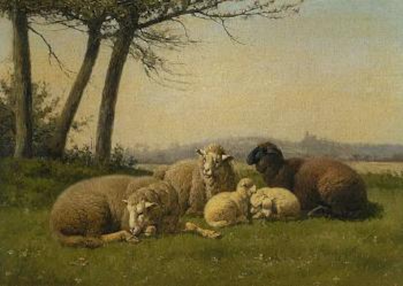 Sheep and lambs in meadow by Eugène Joseph Verboeckhoven