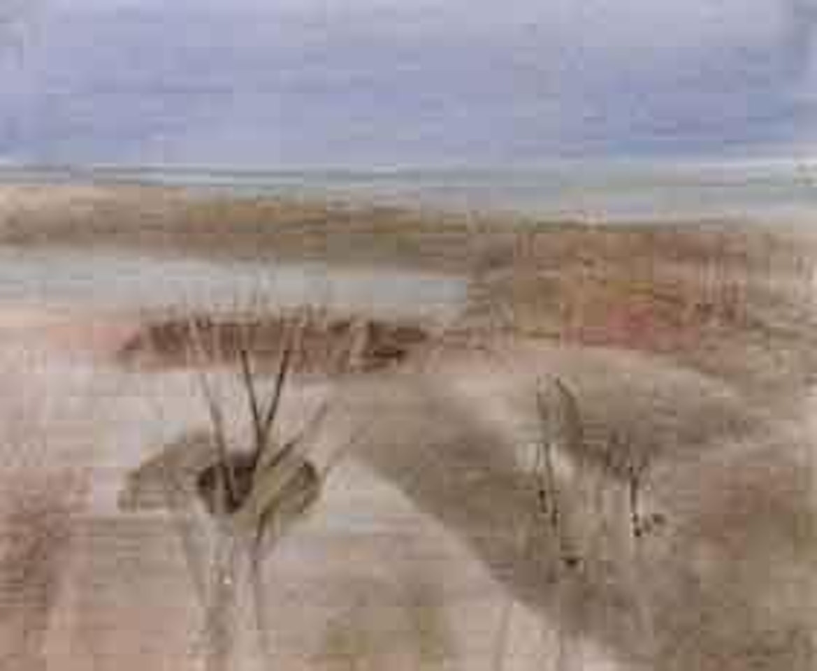 Landscape by Sidney Nolan