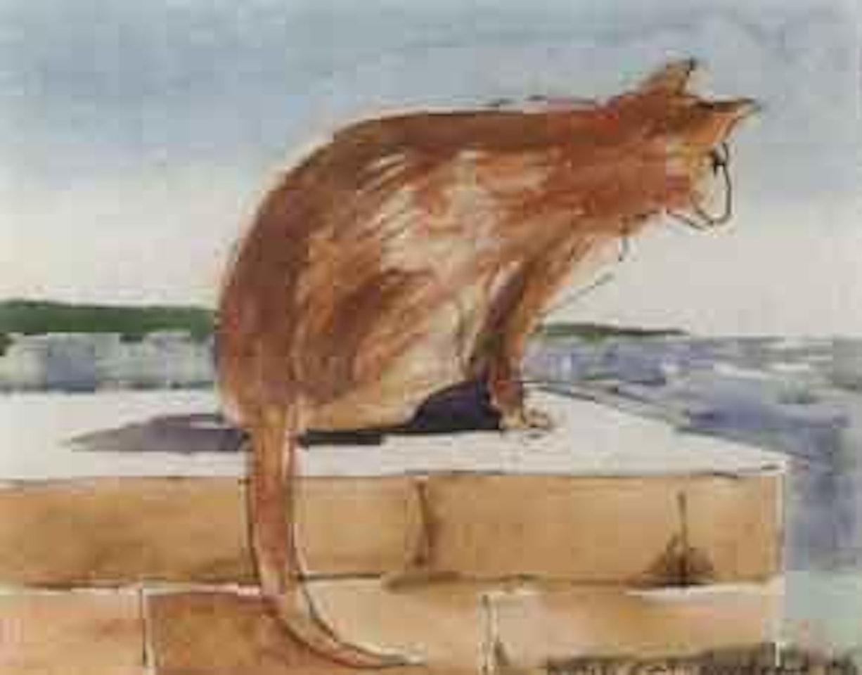 Cat by Charles Blackman