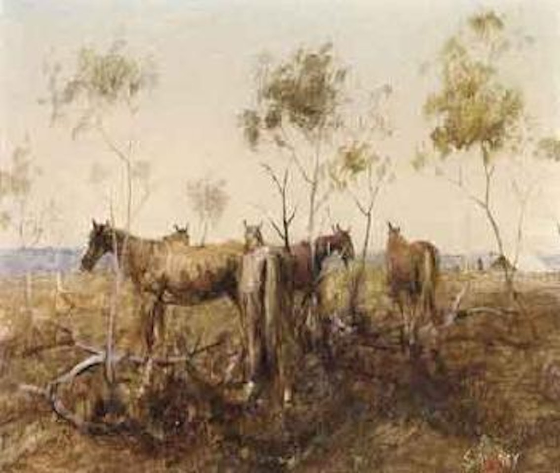 Drover's horses, Western Queensland by Hugh Sawrey