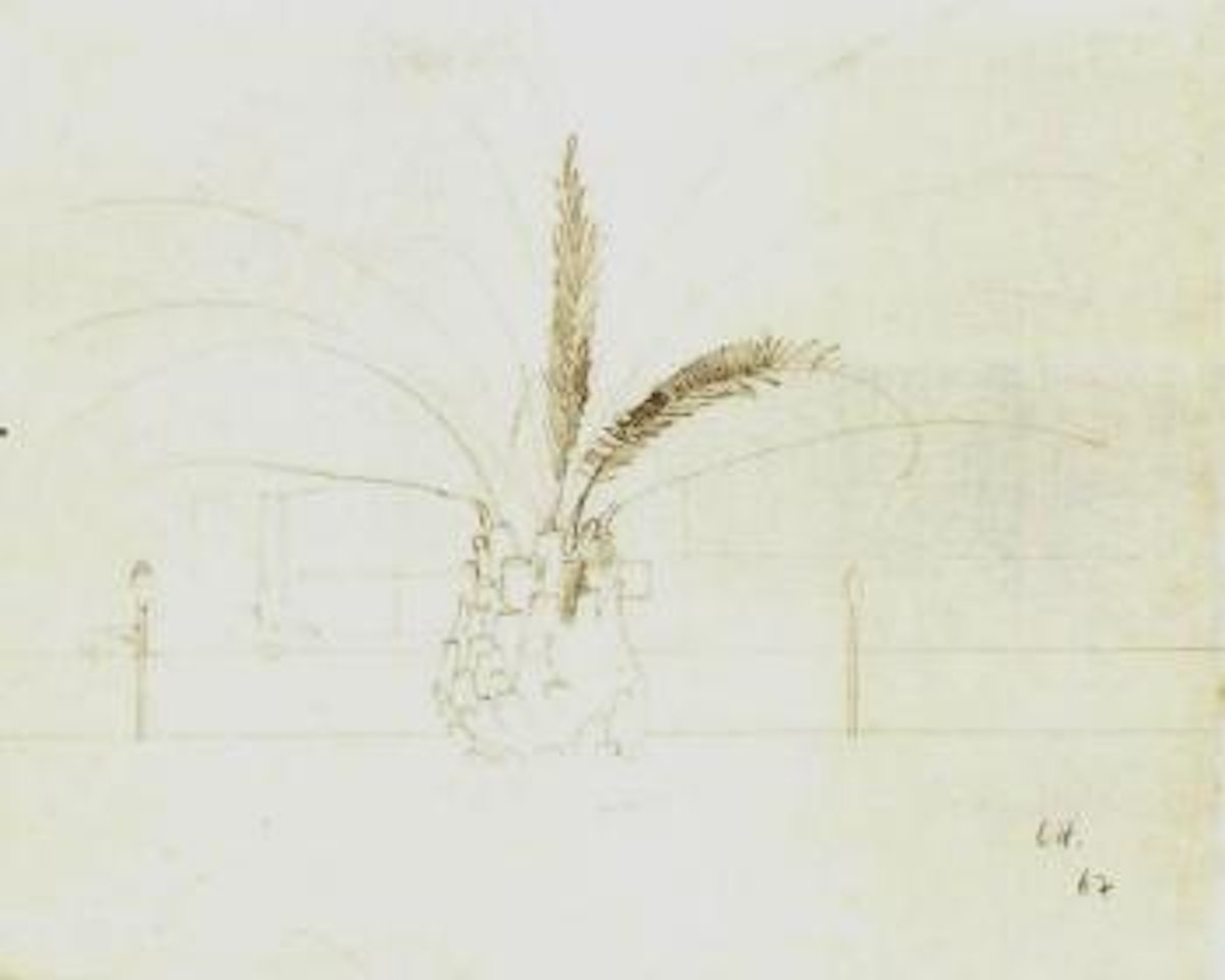 Palm tree by David Hockney