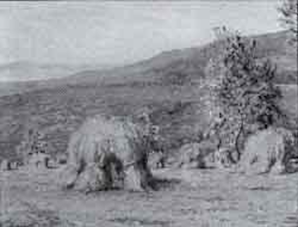 Summer field landscape by Gustave Cariot