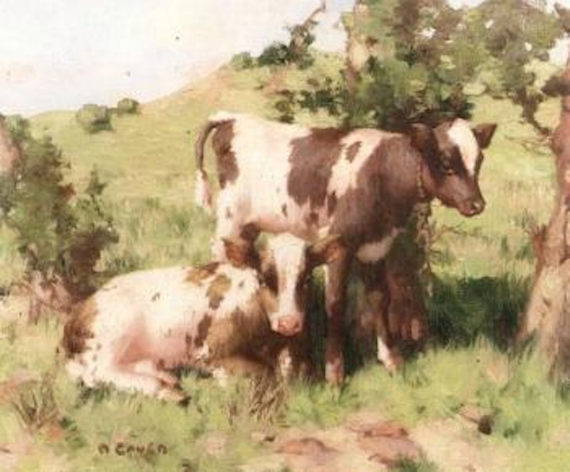 Ayrshire calves in a summer landscape by David Gauld