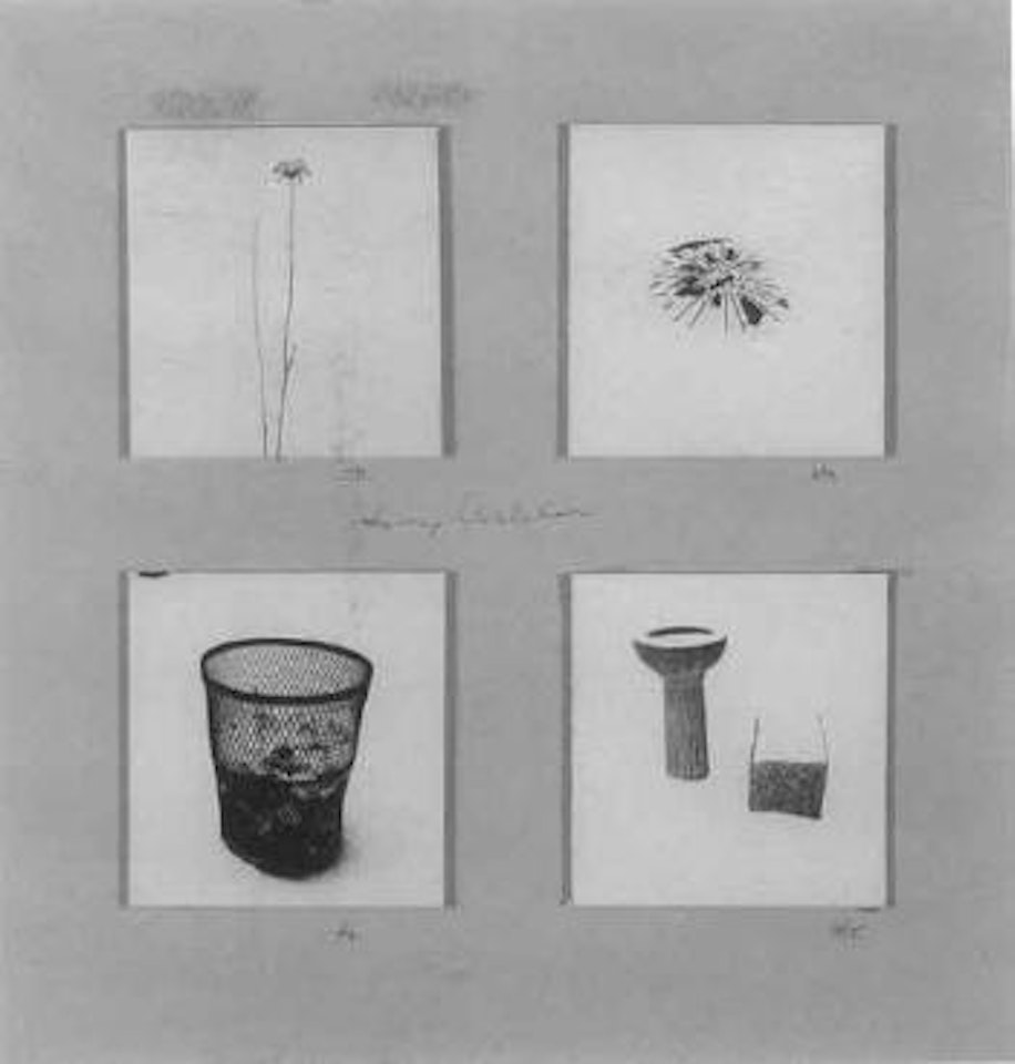 Studies by Harry Callahan