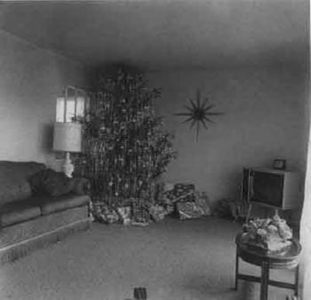 Xmas tree in a living room, Levittown, N Y by Diane Arbus by Neil Selkirk
