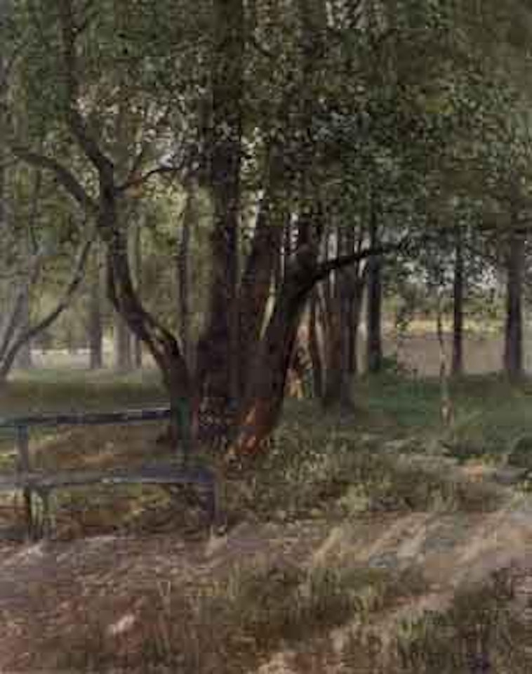 Beech wood in summer sunshine by Anshelm Schultzberg
