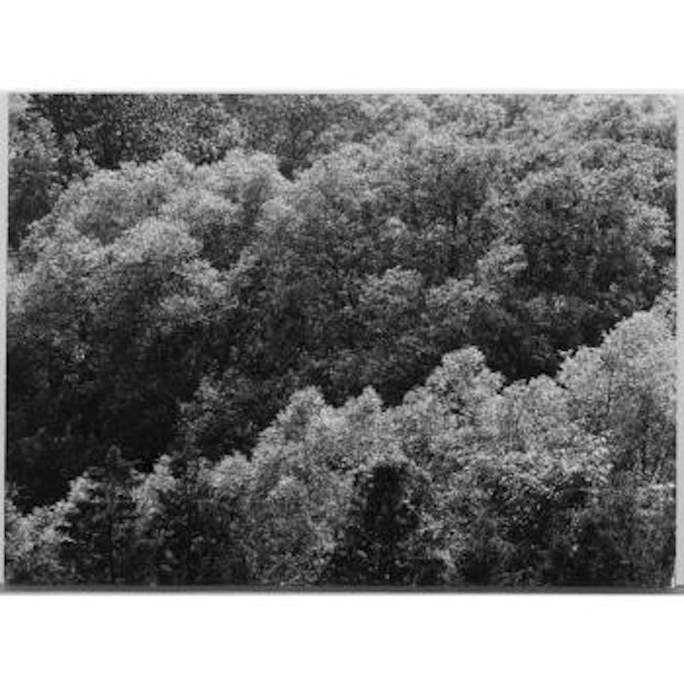 Detroit by Harry Callahan