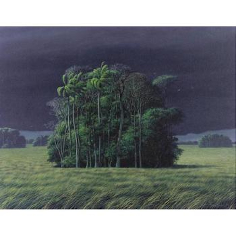 Stormy evening by Tomas Sanchez