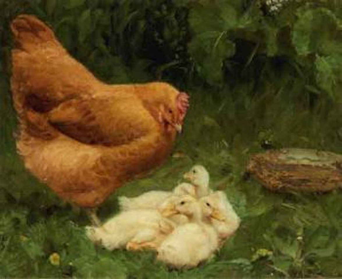 A sad mother - chicken with flock of ducklings by Hans Andersen Brendekilde