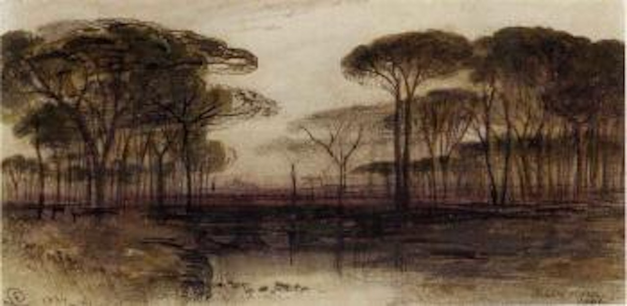 Pinetum at Ravenna by Edward Lear