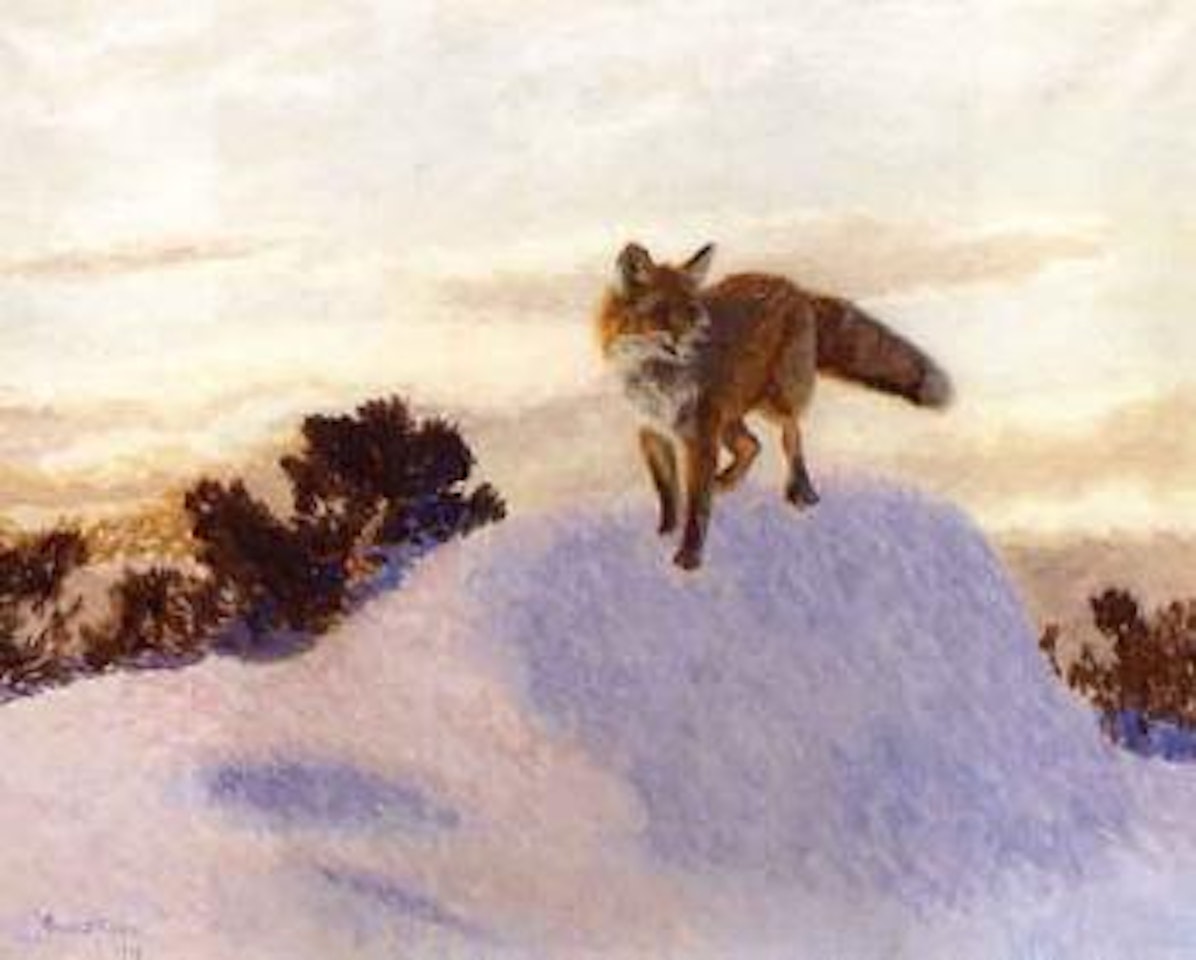 Winter fox in landscape by Bruno Liljefors
