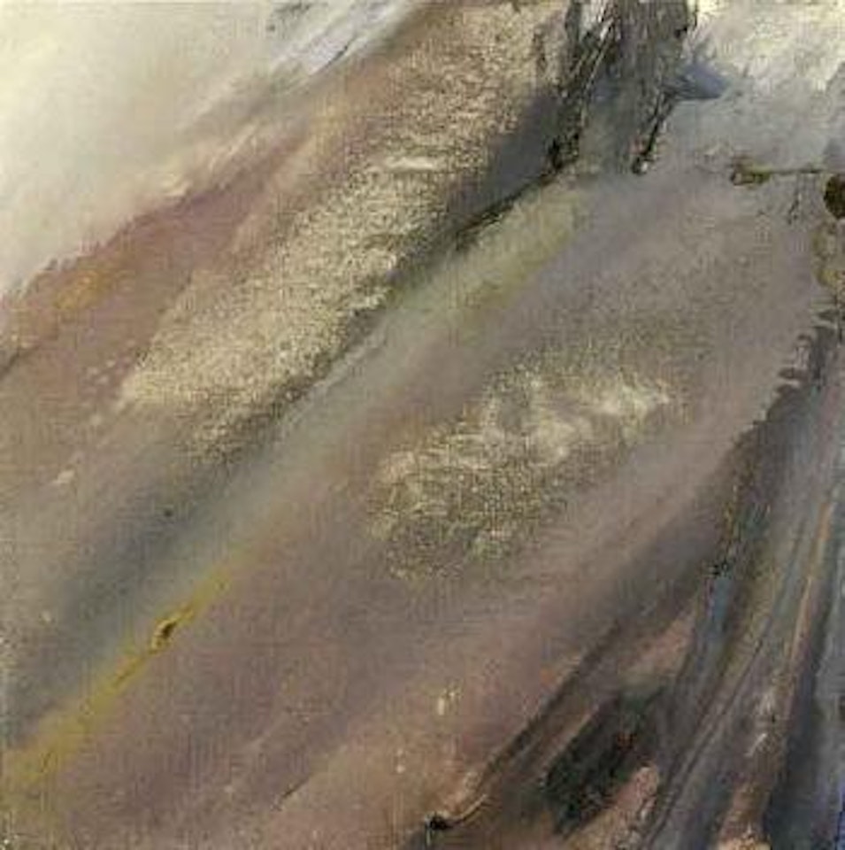 Auvermi sombre by Olivier Debre