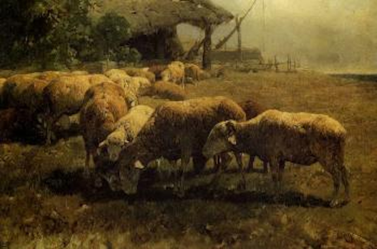 Grazing sheep in front of a barn by Heinrich von Zugel