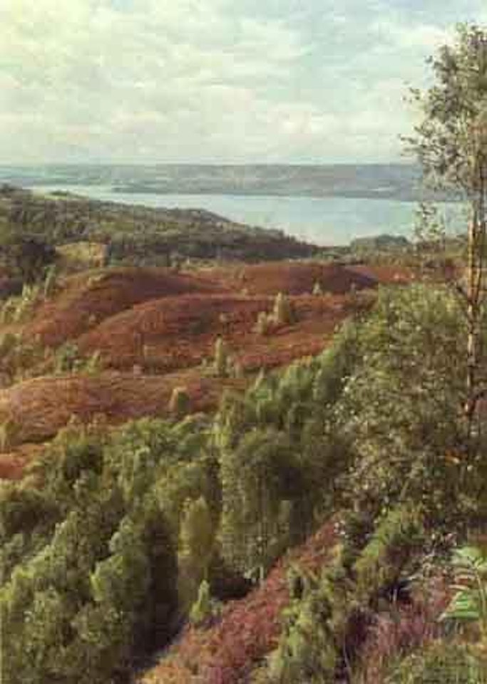 Landscape from Julso seen from Himmelbjerget by Peder Mork Monsted