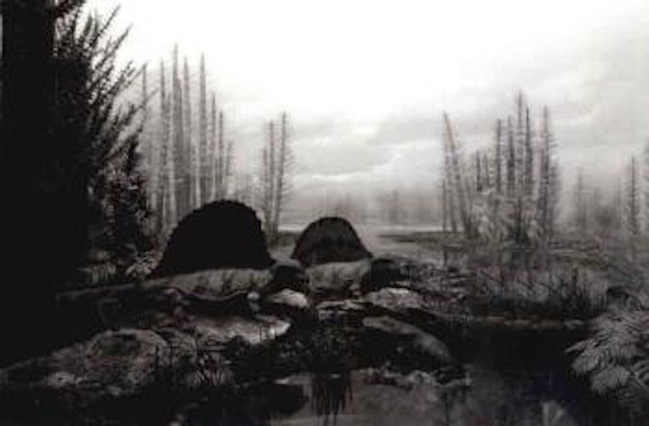 Permian land by Hiroshi Sugimoto