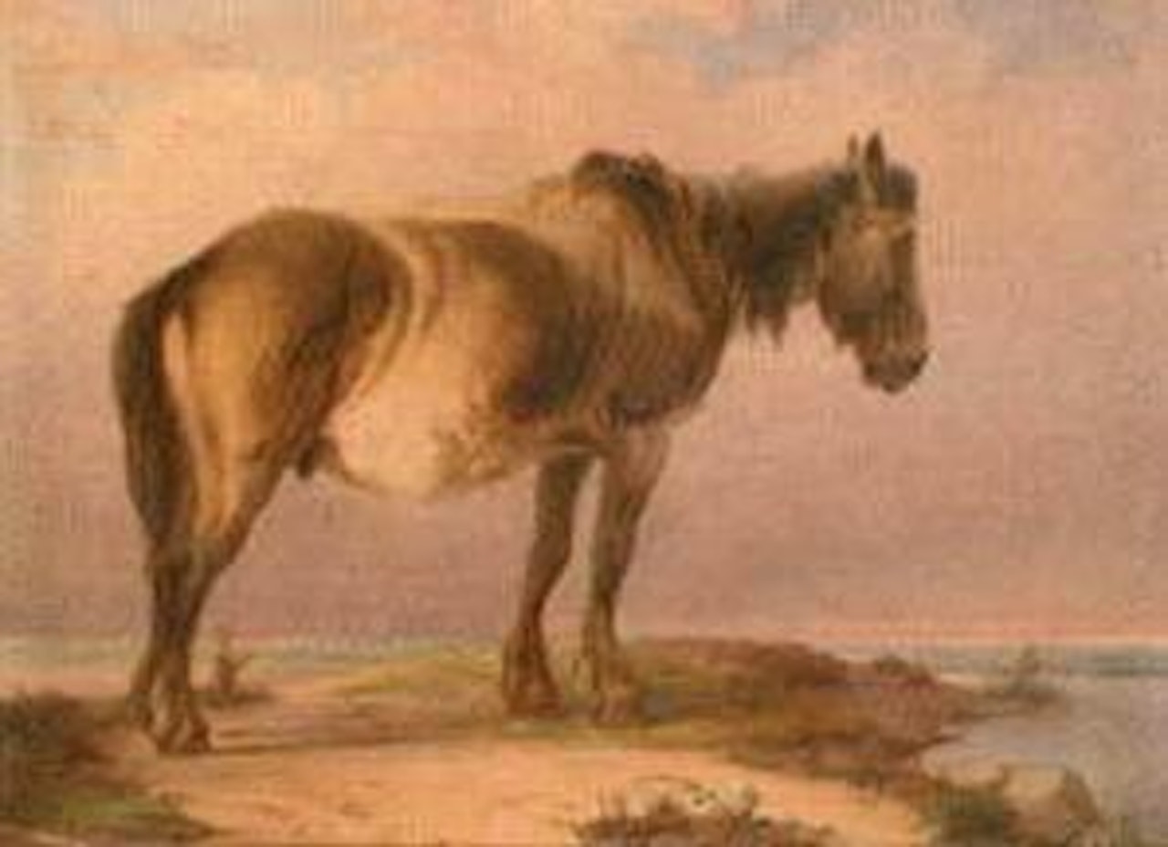 Old horse by Thomas Sidney Cooper