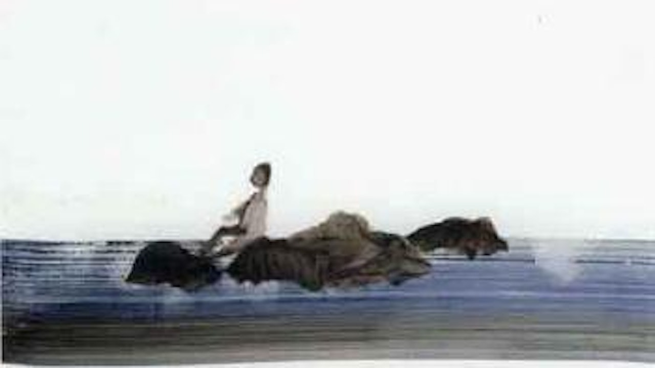 Swimmer 1962 by Sidney Nolan