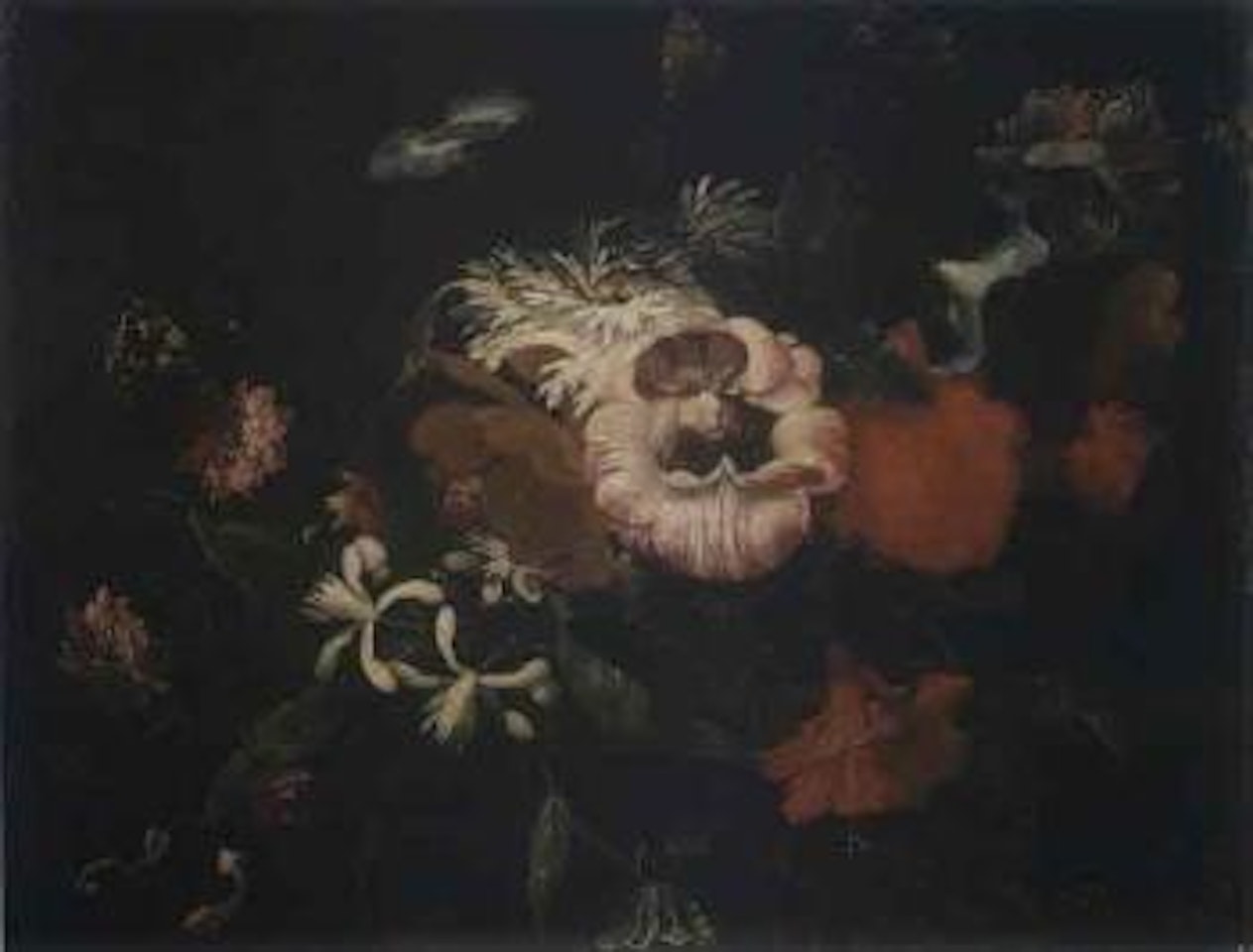 Roses ad other flowers by Abraham Brueghel