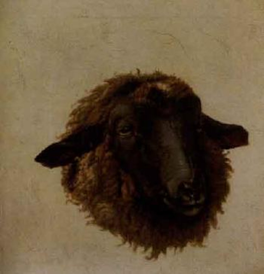 Tete de mouton by Eugène Joseph Verboeckhoven