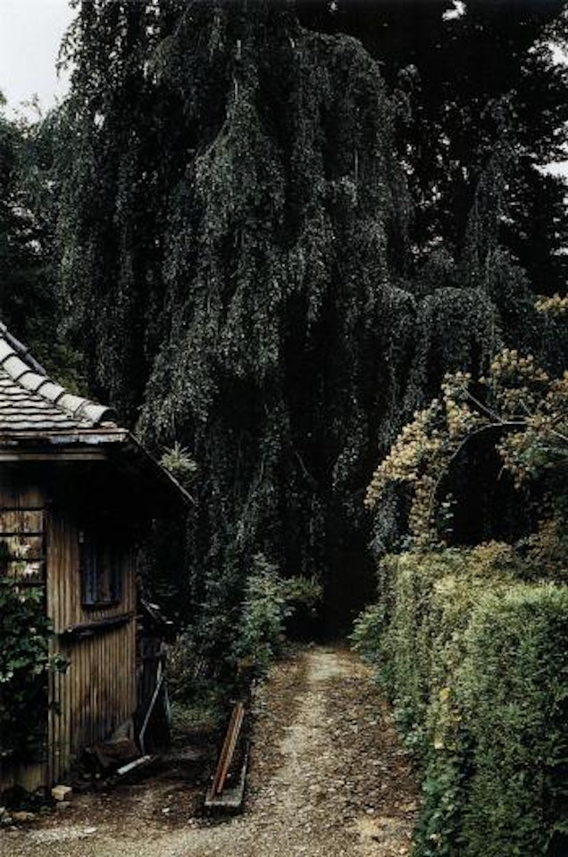 Landschaft nr 10 baume hinter dem gartenhaus em lindberg winterthur by Thomas Struth