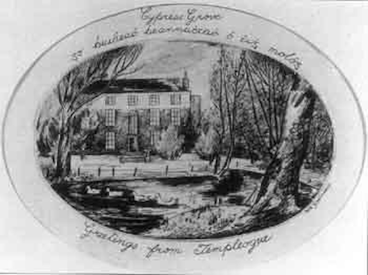 Greetings from Templeogue by Norah McGuinness