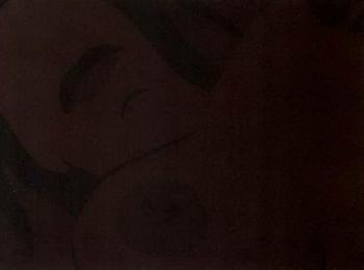 Brown nude banner by Tom Wesselmann