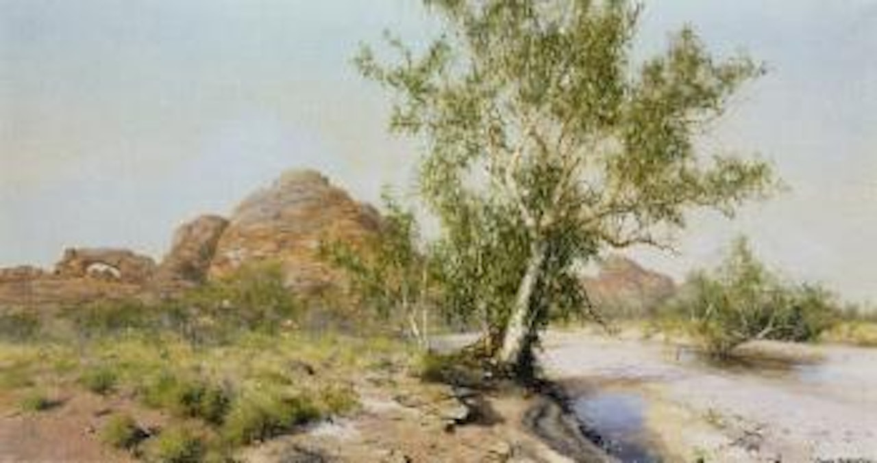 Bungle Bungles by David Shepherd