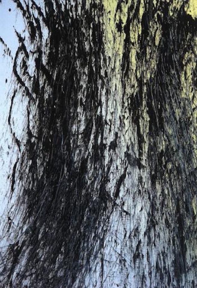 T-1982-U 19 by Hans Hartung