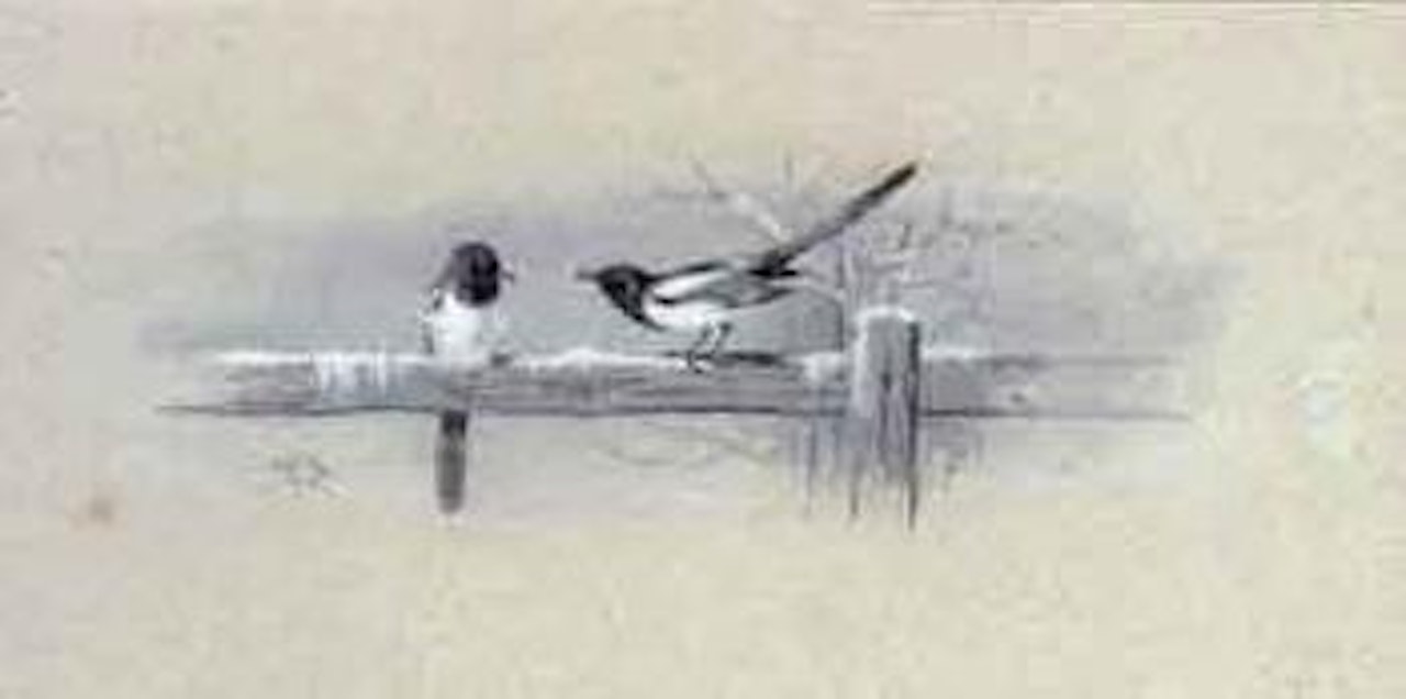 Magpies on a fence. Ptarmigan and an Arctic hare by Archibald Thorburn