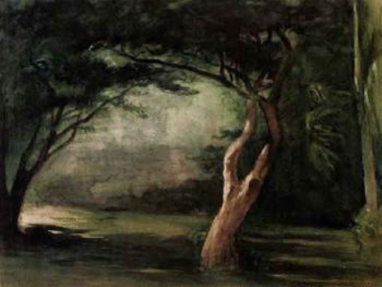 Study of trees in moonlight, Honolulu, Hawaii by John La Farge