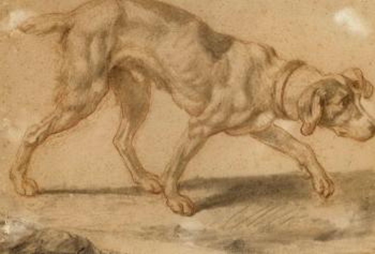 Chien marchant vers la droite by Jean-Baptiste Greuze