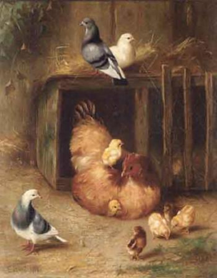 Chickens, chicks and pigeons by Edgar Hunt