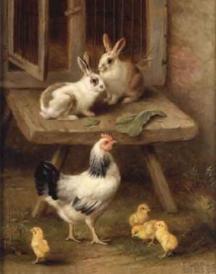 Pigeons and ducks. Rabbits and chickens by a hutch by Edgar Hunt