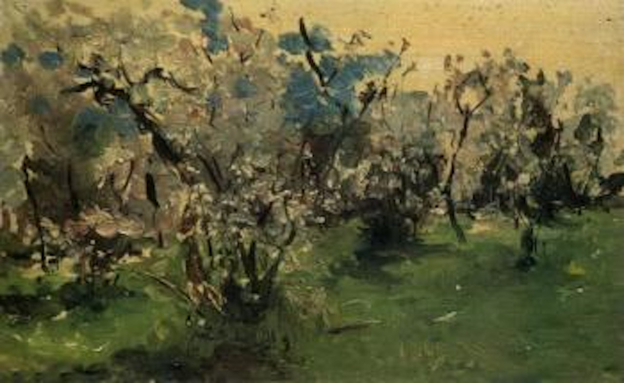 Bushes in bloom by Joaquin Sorolla Y Bastida