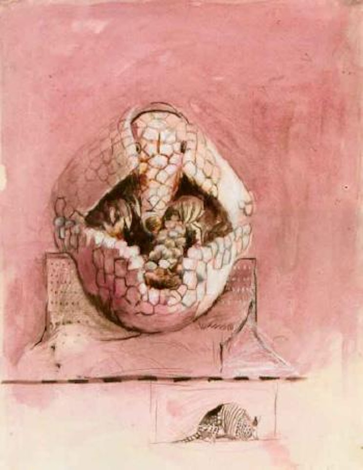 Armadillo by Graham Sutherland