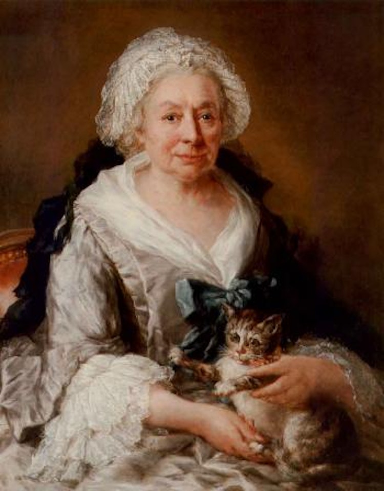 Portrait of an old lady in a lilac satin dress, cat on her lap by Francesco Zuccarelli