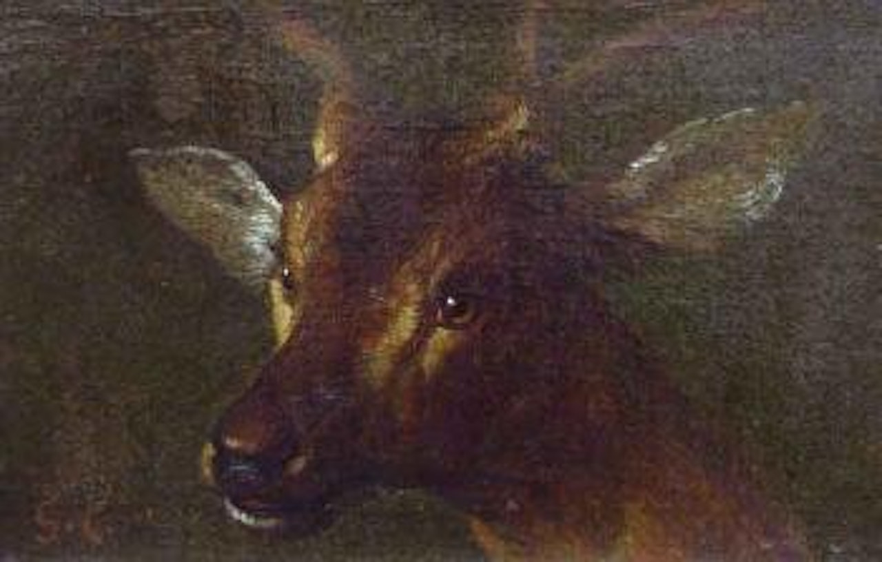 Tete de biche by Gustave Courbet