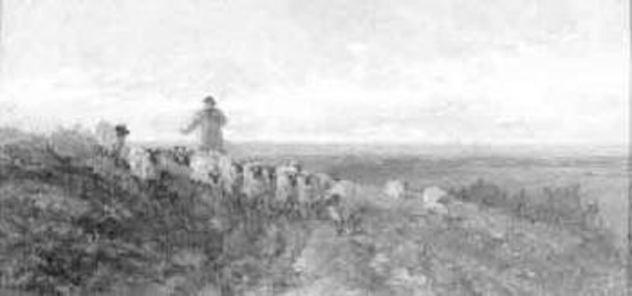 Shepherd and his sheep in a moorland landscape by Heywood Hardy
