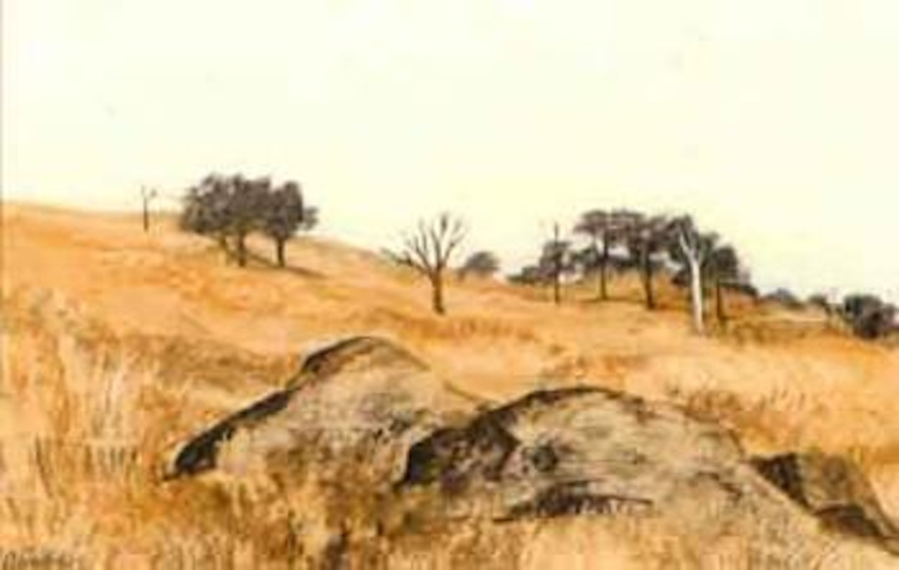 Outback landscape by Ray Austin Crooke