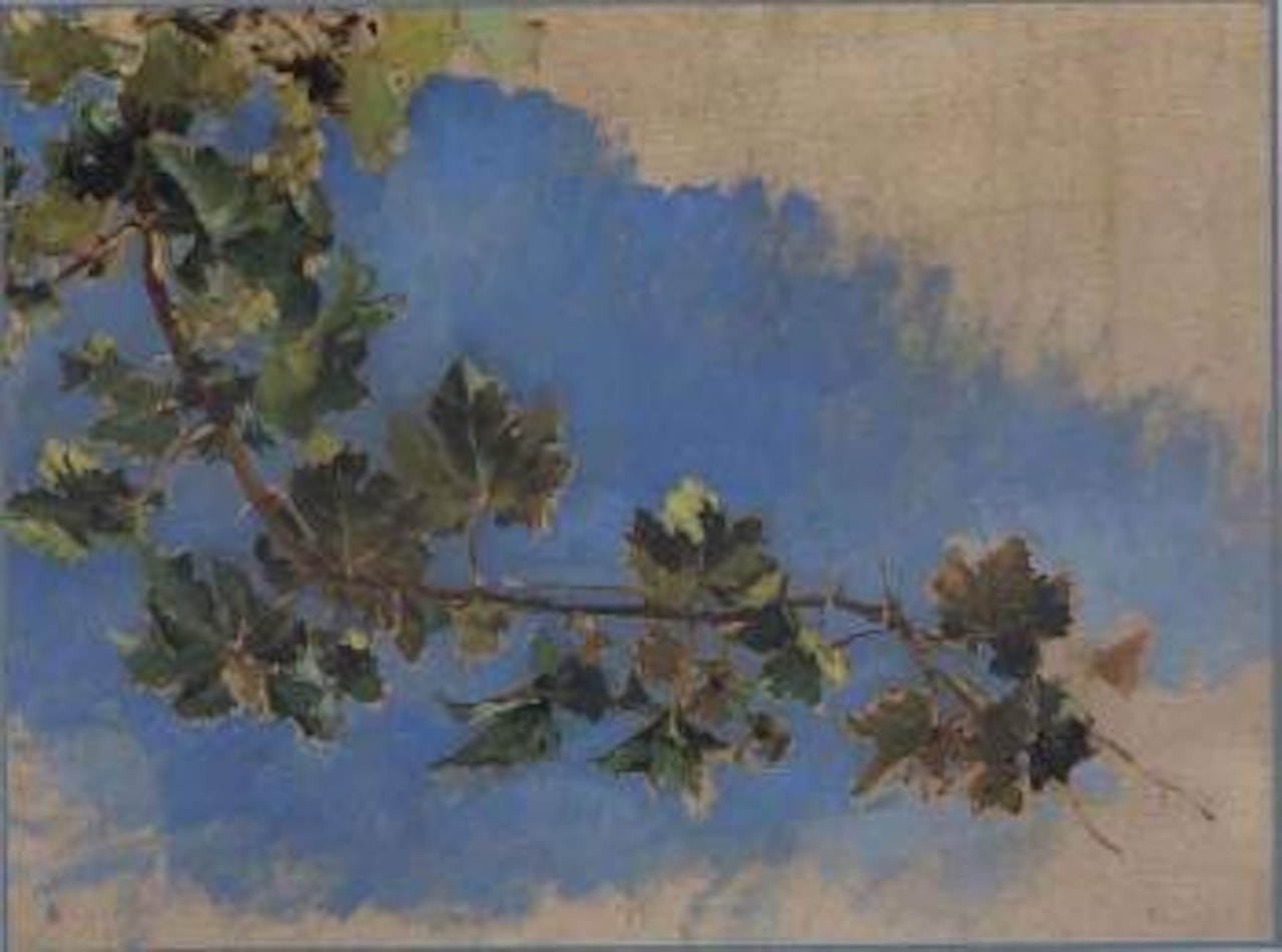 Study of vine by Joaquin Sorolla Y Bastida